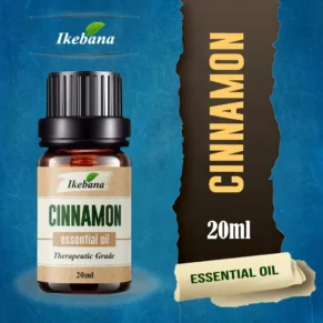 Ikebana Cinnamon Essential Oil - 20ml