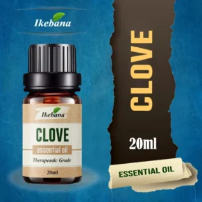 Ikebana Clove Essential Oil - 20ml