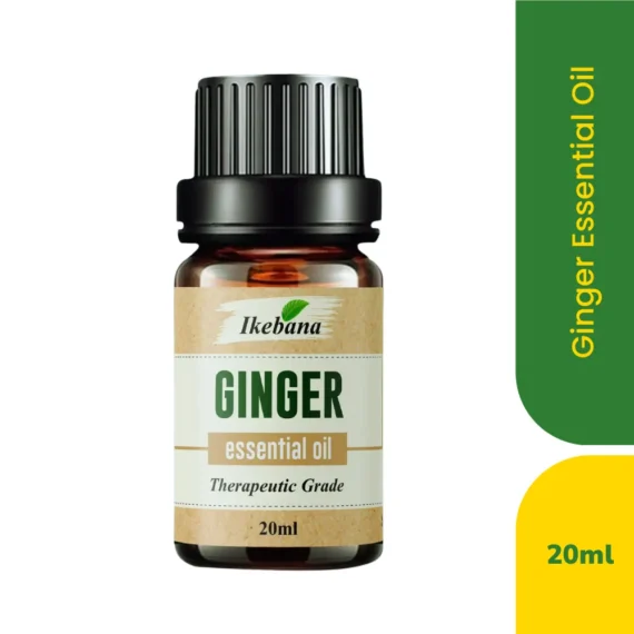 Ikebana Ginger Essential Oil - 20ml - Image 2