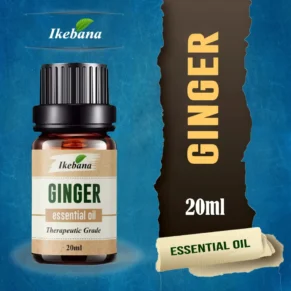 Ikebana Ginger Essential Oil - 20ml