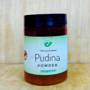 Pudina Powder - 100gm